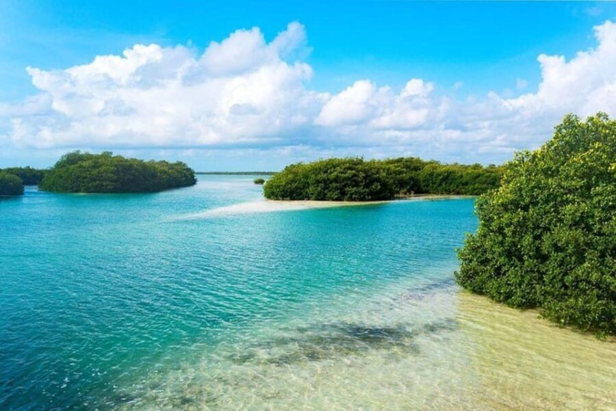 Tulum: Sian Kaan Biosphere Guided Tour - Tour Overview