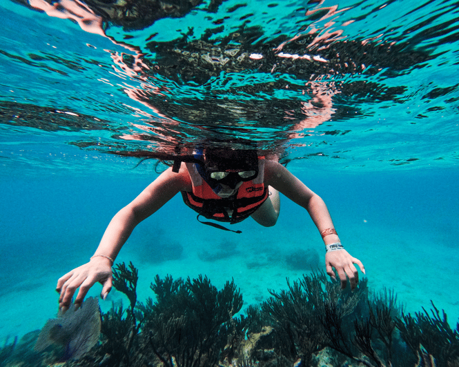 Tulum: Snorkeling at Paradise Reef - Tour Overview and Pricing