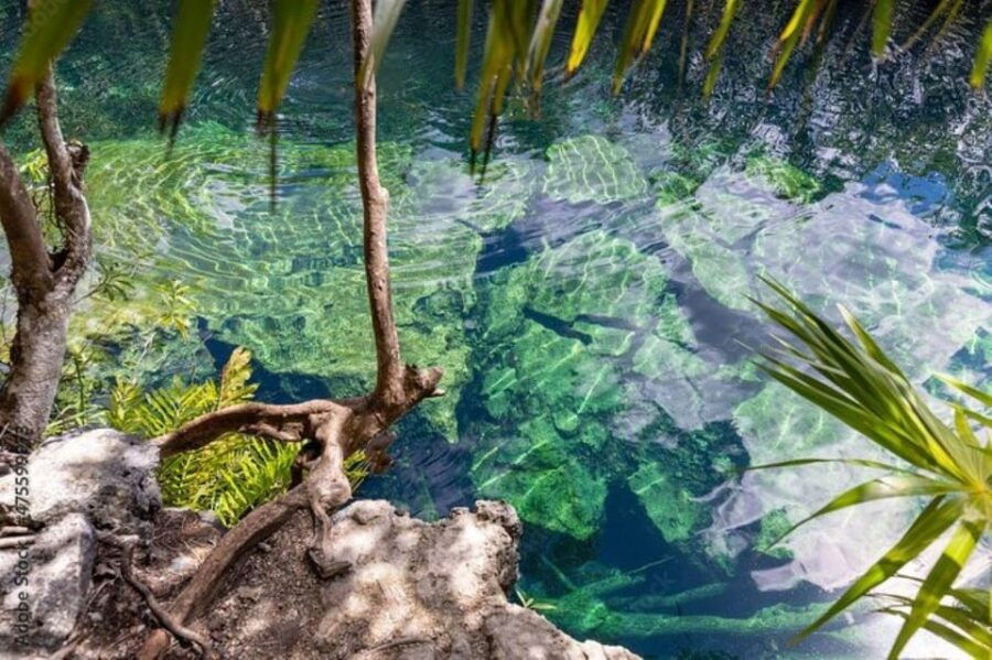 Tulum: Tour 4 Cenotes Casa Tortuga