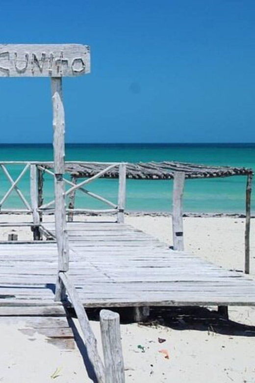 Tuquesa: The Coloradas, Ria Lagartos, and Merida Beach Tour - Tour Overview and Pricing