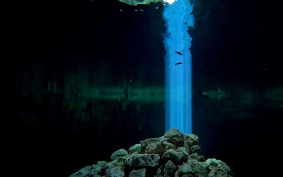 Two Tank Cavern Dive (Cenote Dive)