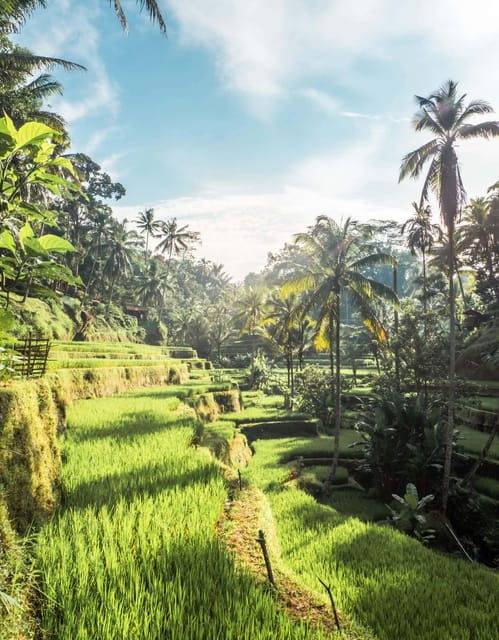 Ubud Bali: Melukat Purification Ritual and Tegalalang Field.