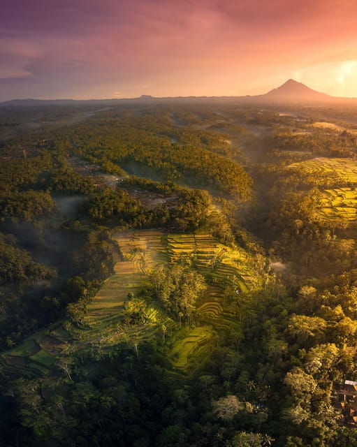 Ubud Bliss Tour – Rice Terrace, Monkey Forest, Infinity Pool