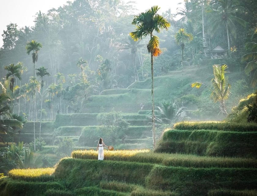 Ubud: Kanto Lampo, Tukad Cepung, Rice Terrace, Batuan Temple