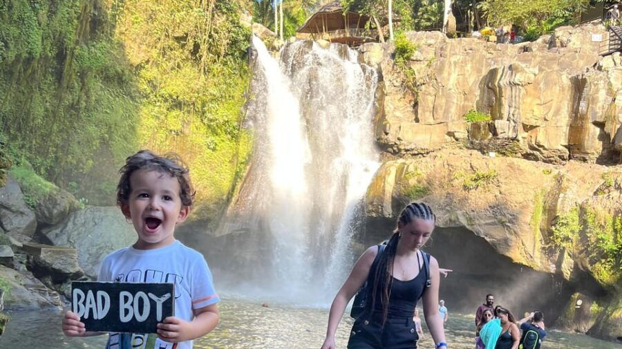 Ubud: Monkey Forest, Water Temple, Rice Terrace & Waterfall