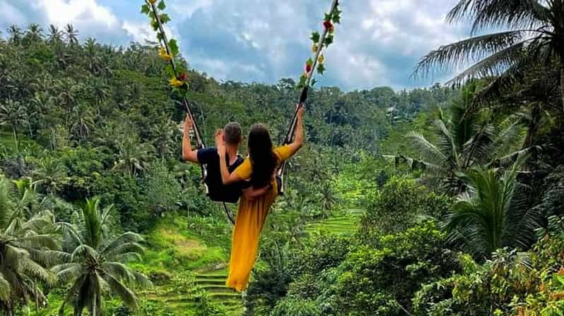 Ubud Swing & Scenic Tour: Waterfall, Temple & Rice Terraces