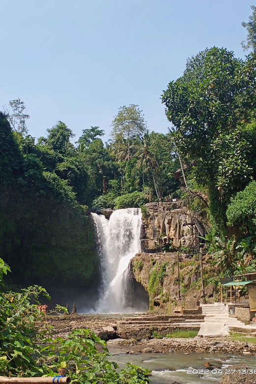 UBUD Tour and Swing