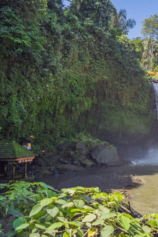 Ubud Tour Bali: Nature, Waterfall, and Cultural Experience