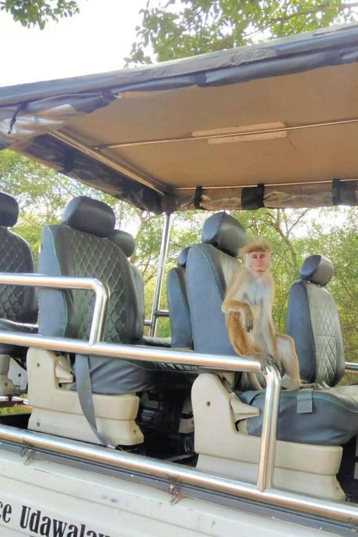 Udawalawe Elephant Safari With Transfer From Galle - Activity Overview
