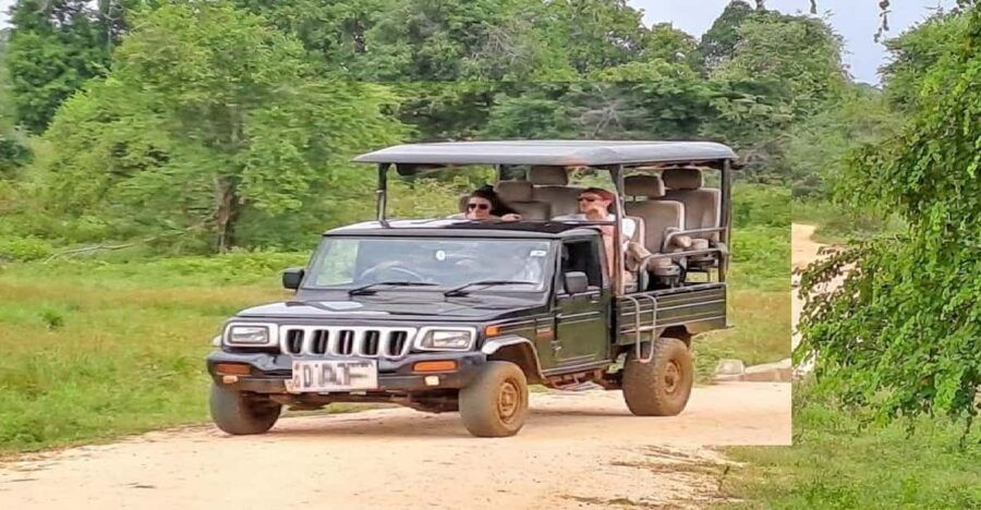 Udawalawe Safari - Safari Overview and Highlights