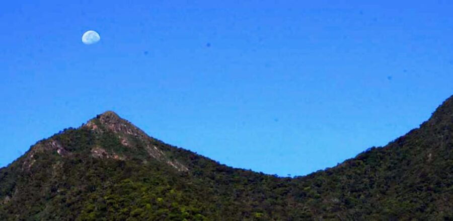 Uduwara and Nagadowa Waterfall Trekking - Activity Overview
