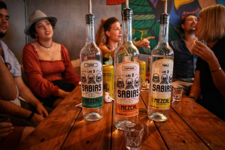 ULTIMATE VIP AGAVE EXPERIENCE VAN TOUR - Itinerary and Experience