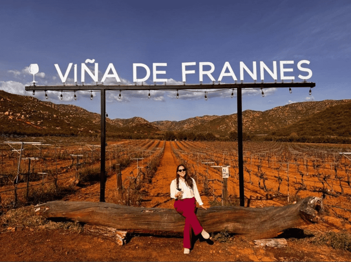 Valle De Guadalupe: Winery Tour With Tastings