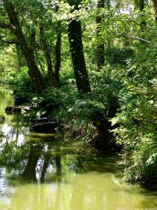 Villa of the White Pond - Overview and Location