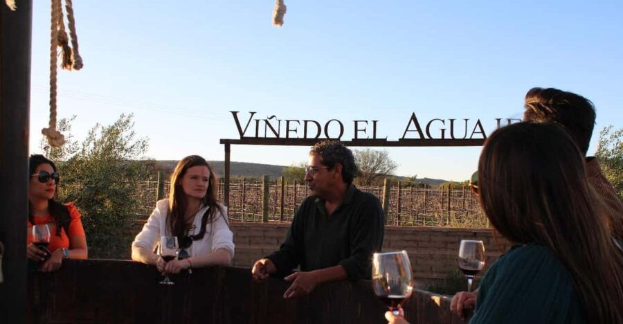 VINEYARD TOUR - Tour Overview