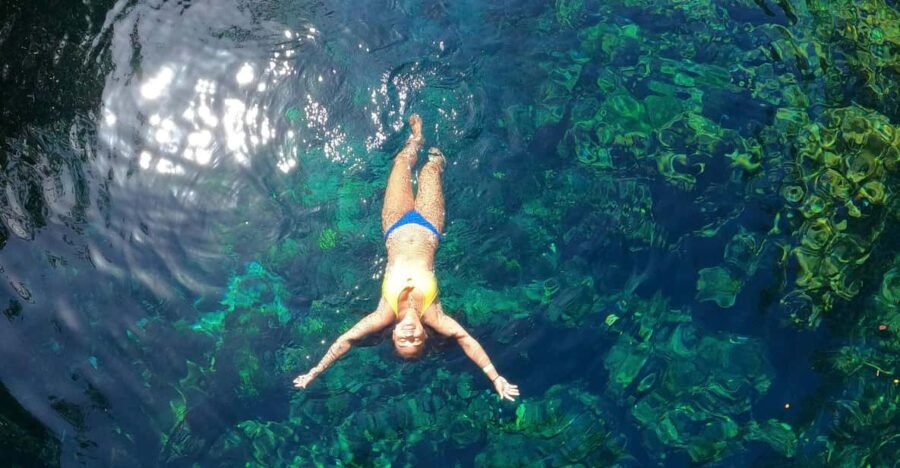 VIP Cenotes Express (Half Day, 2 Cenotes)