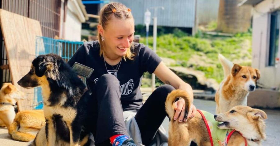 Visit Our Non-Profit Animal Sanctuary in Kathmandu!