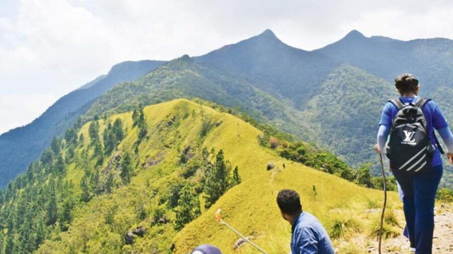 Wangedigala Mountain Hiking - Overview of Wangedigala Mountain