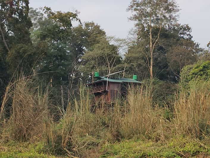 Wild Nights: Tower Stay in Chitwan National Park