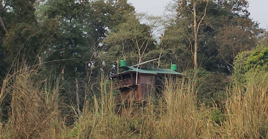 Wild Nights: Tower Stay in Chitwan National Park
