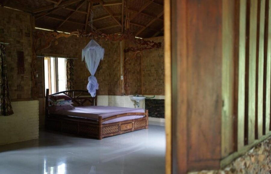 Wild Orangutan Trek: 2-Day Adventure in Gunung Leuser Park - Adventure Overview