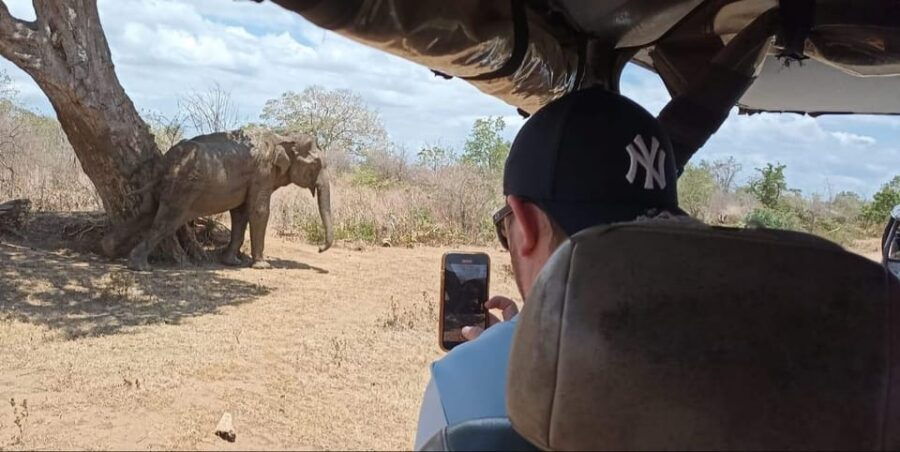 Yala National Park Safari Tour From Colombo / Galle