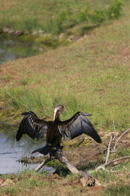 Yala National Park Safari Tour: From Mattala Airport