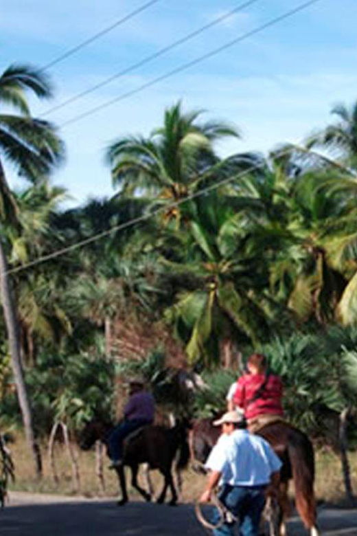 Zihuatanejo: Horseback Riding on the Beach - Activity Overview