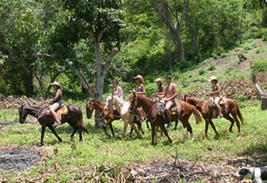 Zihuatanejo: Horseback Riding Tour - Activity Details