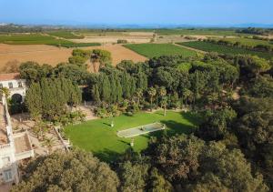 Château Hermitage De Combas - Accommodation Options at Château