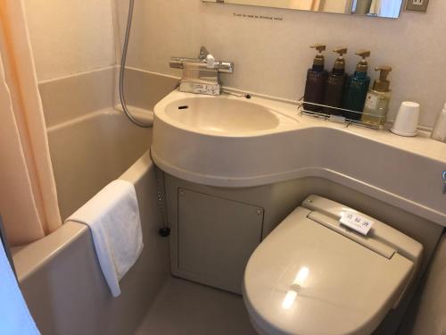 Chitose Airport Hotel - Accommodation and Room Types