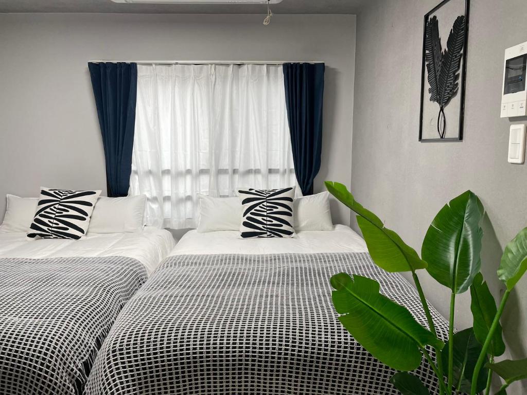 Comma House Otsuka 4-3 - Good To Know