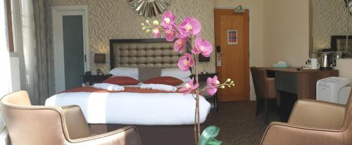 Duke Of Leinster Hotel - Facilities and Amenities