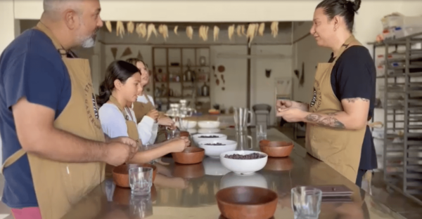 ✨Make Chocolate to Take Home Oaxacan Style ☕️✨ - Cocoas History and Processes