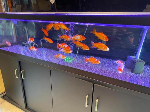 Hotel Botiboti (Formerly Hotel Richrich) - Good To Know