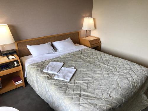 Hotel Grand Terrace Chitose - Room Types and Amenities