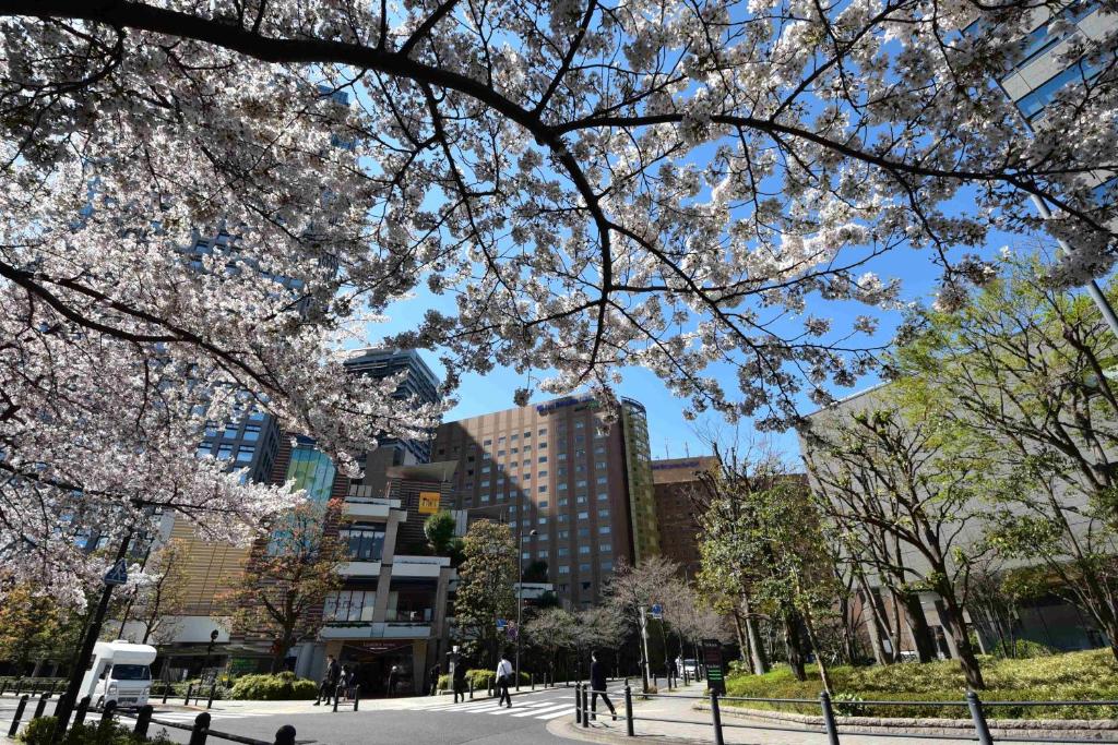 Hotel Metropolitan Edmont Tokyo Review