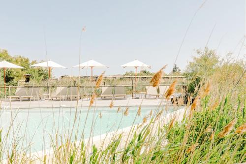 Hotel Restaurant Les Arnelles - Dining Experience