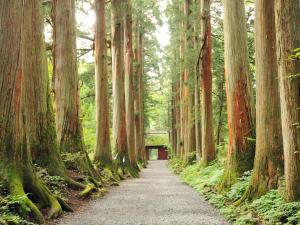 Hotel Tsubakino - Good To Know