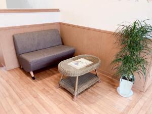 Joya Ryokan Review: A Hidden Gem in Okinawa - Guest Experiences and Feedback