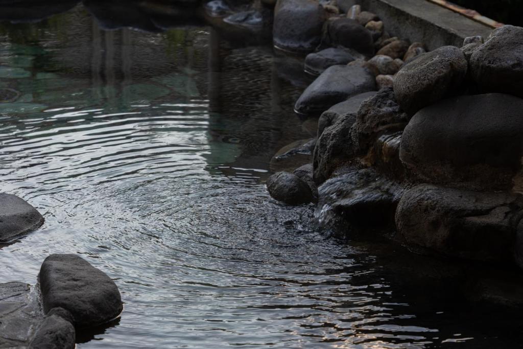 Where to Stay in Kawazu Onsen-kyo, Kawazu? 3 Hotels You’ll Love