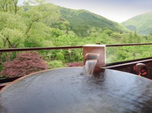 Kansyokan - Accommodation Options