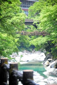 Kazuraya - Accommodation Offerings