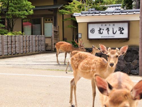 Kotonoyado Musashino - Location and Accessibility