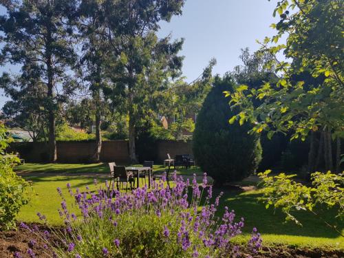 Linton Lodge a BW Signature Collection Hotel - Accommodation Options