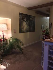 Lyall Apartment Hotel - Accommodation Options