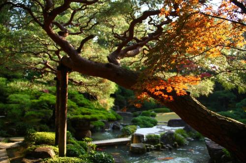 Matsudaya Hotel - Accommodation Options