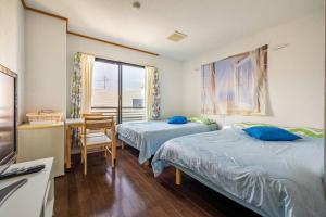 MR. TOMO KAWANA - Property Overview