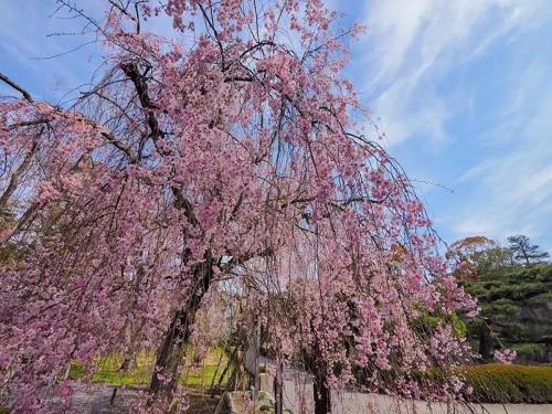MUSUBI HOTEL Kyoto Shijo-Omiya - Good To Know