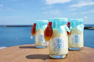 Okukinosaki Seaside Hotel - Accommodation Features